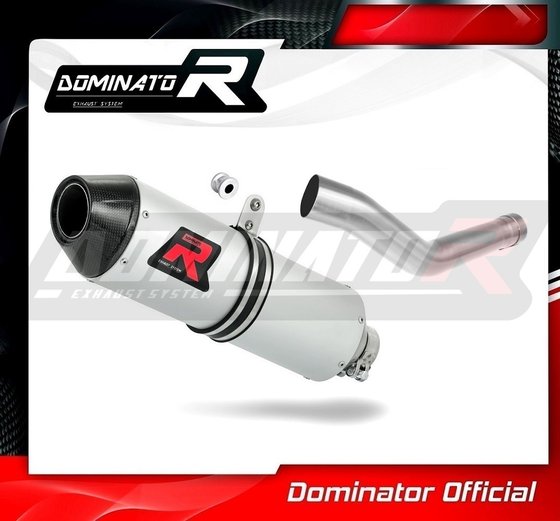 YZ 450 F (2018 - 2019) exhaust silencer mx2 | Dominator