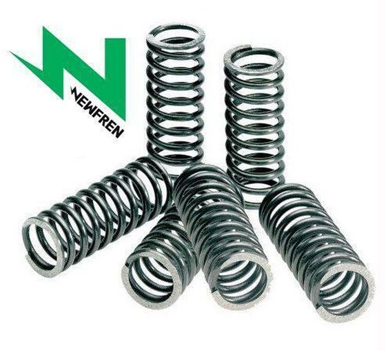 RX 100 (1983 - 1997) clutch springs | NEWFREN