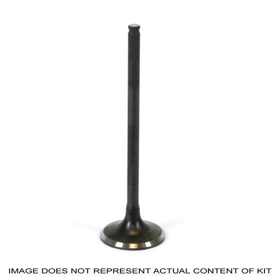 XT 225 (1992 - 1998) prox steel exhaust valve xt/tt-r225/230 '92-07 +250 majesty' | ProX