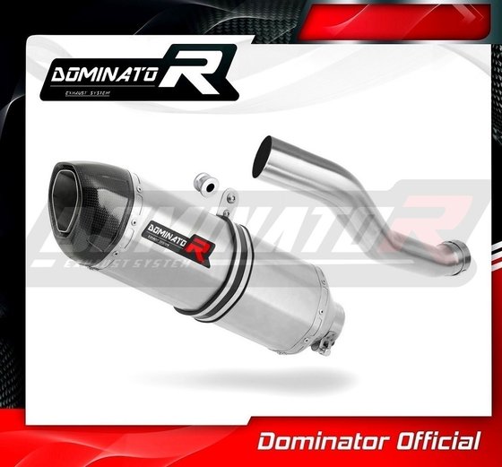 YZF R1 (2002 - 2003) homologated exhaust silencer hp1 | Dominator