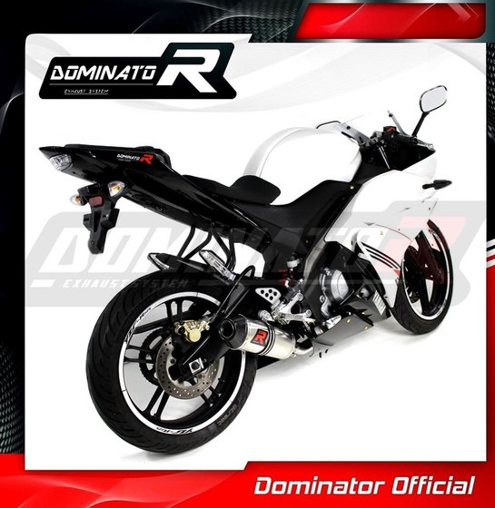 YZF R 125 (2014 - 2018) exhaust full system silencer hp3 | Dominator