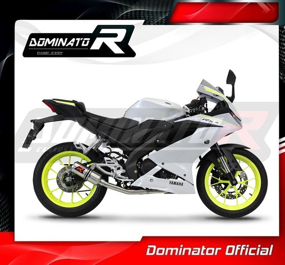 YZF R 125 (1970 - 2022) full exhaust system silencer gp | Dominator