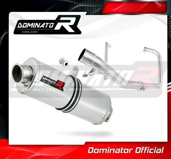 YBR 125 (2009 - 2018) exhaust full system silencer oval | Dominator