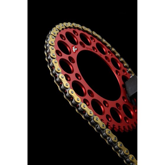 YZ 450 F (2008 - 2022) r1 works 520x114 chain | RENTHAL