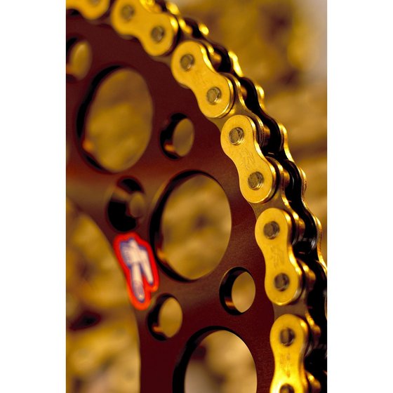 YZ 450 F (2008 - 2022) r1 works 520x114 chain | RENTHAL