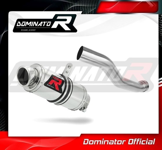 YZF R1 (2002 - 2003) exhaust silencer gp1 | Dominator