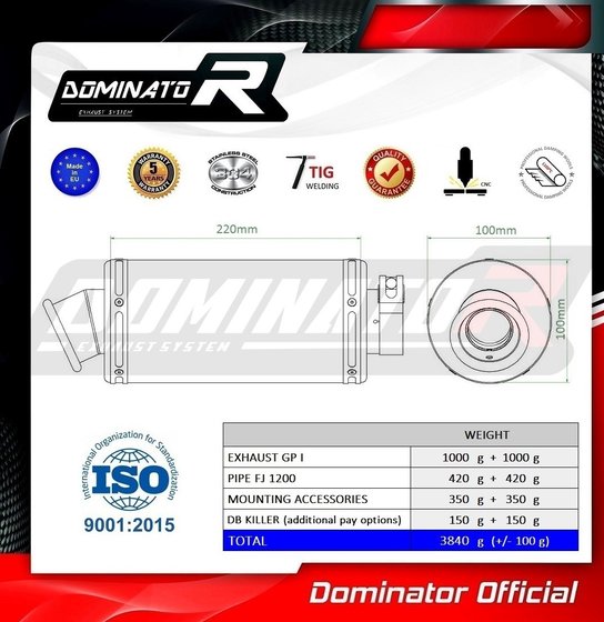 FJ 1100 (1970 - 2022) exhaust silencer gp1 | Dominator