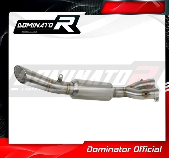 FZ 10 (2016 - 2020) cat eliminator decat | Dominator