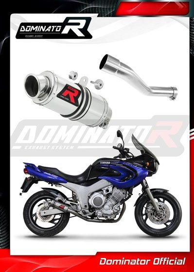 TDM 850 (1996 - 2001) exhaust silencer muffler gp1 | Dominator