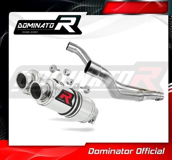 TDM 850 (1996 - 2001) exhaust silencer muffler gp1 | Dominator