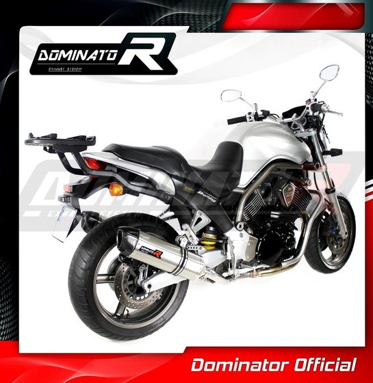 BT 1100 BULLDOG (2001 - 2007) exhaust silencer hp1 | Dominator