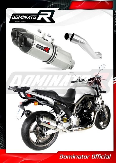 BT 1100 BULLDOG (2001 - 2007) exhaust silencer hp1 | Dominator