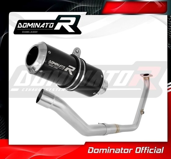 MT 125 (2021 - 2022) full exhaust system silencer gp black | Dominator