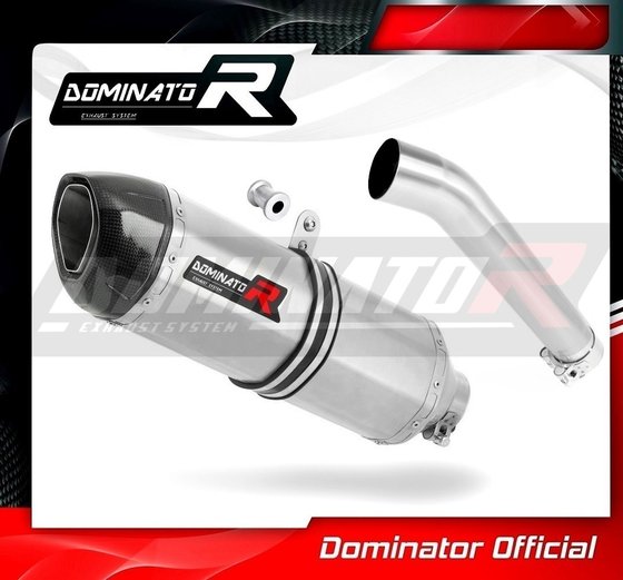 YZF 600 R THUNDERCAT (1996 - 2006) homologated exhaust silencer hp1 | Dominator