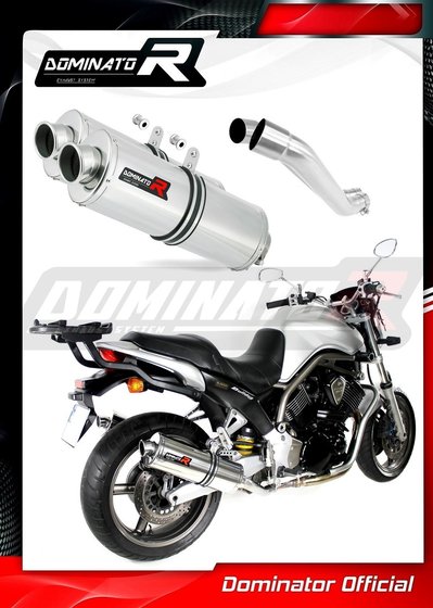 BT 1100 BULLDOG (2001 - 2007) exhaust silencer oval | Dominator