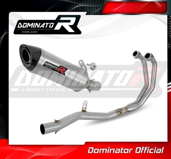 YZF R3 (1970 - 2022) full exhaust system silencer hp8 | Dominator