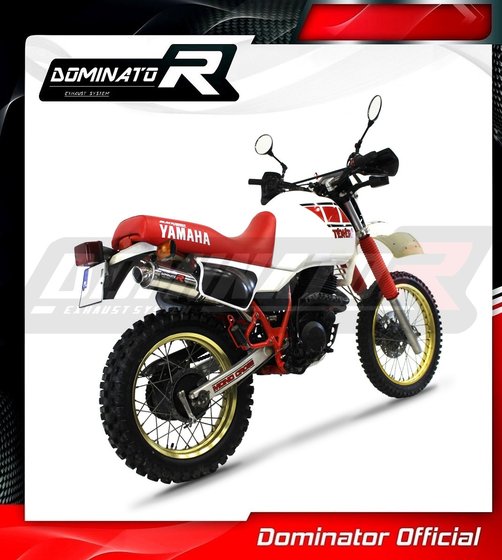 XT 600 (1987 - 1989) exhaust silencer gp1 | Dominator