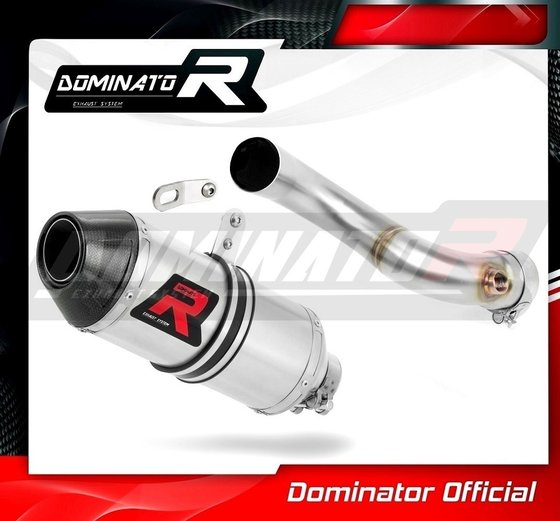 FZ 09 (2017 - 2020) exhaust silencer hp3 | Dominator