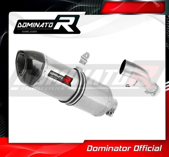 FZ1 S FAZER (2006 - 2015) homologated exhaust silencer hp1 | Dominator