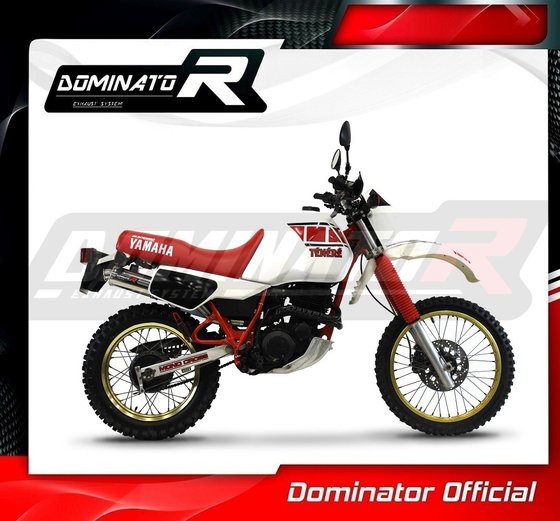 XT 600 (1987 - 1989) exhaust silencer gp1 | Dominator