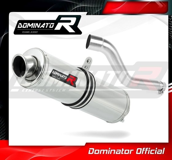 TT R 250 (1999 - 2006) exhaust silencer round | Dominator