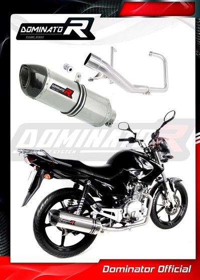 YBR 125 (2009 - 2018) exhaust full system silencer hp1 | Dominator