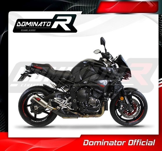 FZ 10 (2016 - 2020) exhaust silencer gp | Dominator