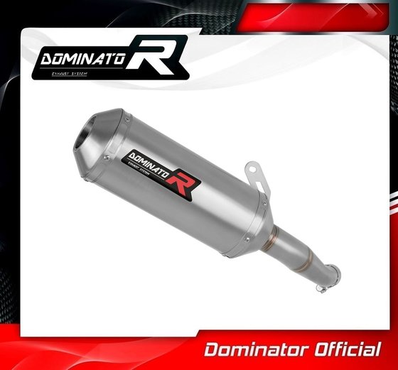 YZF R3 (1970 - 2022) exhaust silencer muffler ov | Dominator