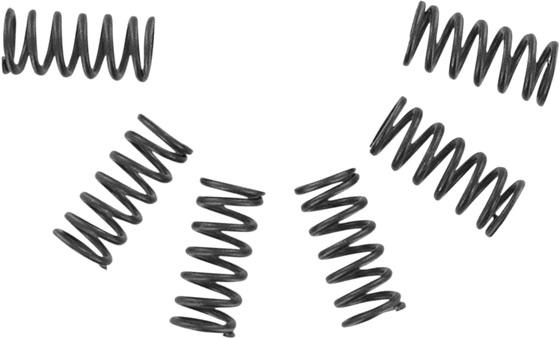 IT 465 (1981 - 1982) csk series heavy duty clutch spring kits | EBC