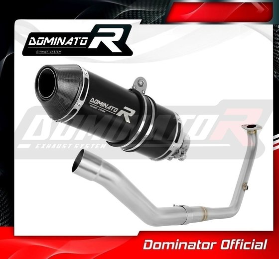 YZF R 125 (2021 - 2022) full exhaust system silencer hp3 black | Dominator