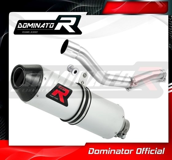 WR 250 F (2001 - 2006) exhaust silencer mx2 | Dominator