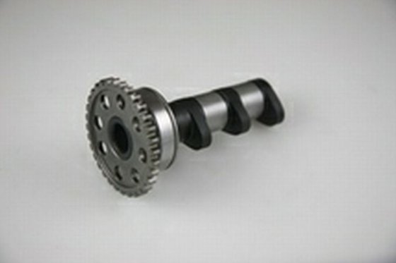 WR 450 F (2003 - 2015) camshaft | Hot Cams