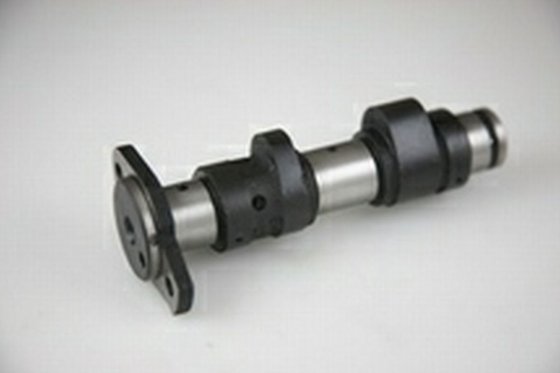 YFM 660 GRIZZLY (2001 - 2008) camshaft | Hot Cams