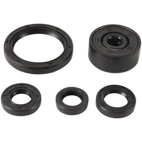 WR 250 X (2008 - 2011) engine oil seal kit | WINDEROSA