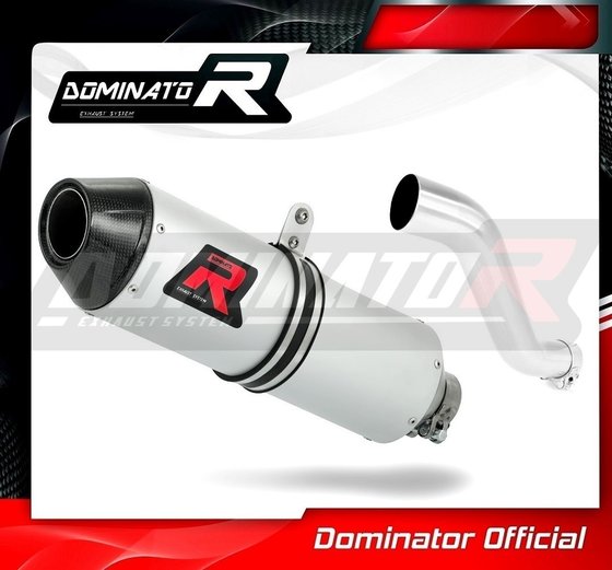 XTZ 660 TENERE (1991 - 1999) exhaust silencer mx2 | Dominator