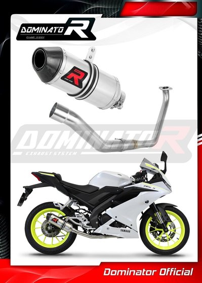 YZF R 125 (1970 - 2022) full exhaust system silencer hp3 | Dominator