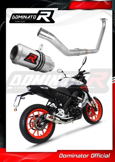 MT 125 (2020 - 2020) exhaust full system silencer gp | Dominator