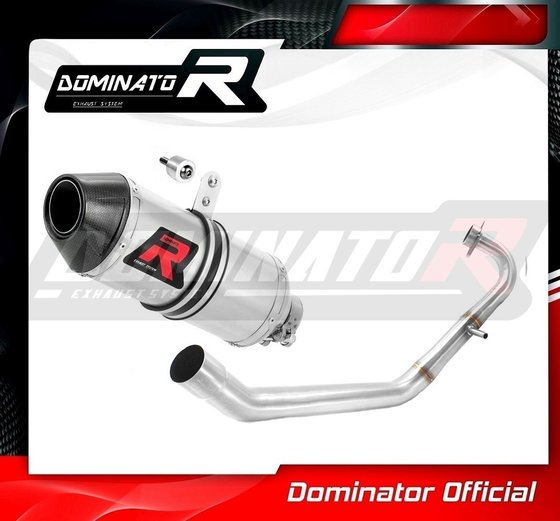 YZF R 125 (2008 - 2013) exhaust full system silencer hp3 | Dominator