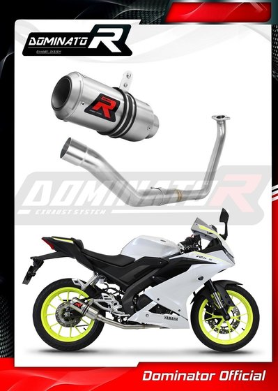 YZF R 125 (1970 - 2022) full exhaust system silencer gp | Dominator