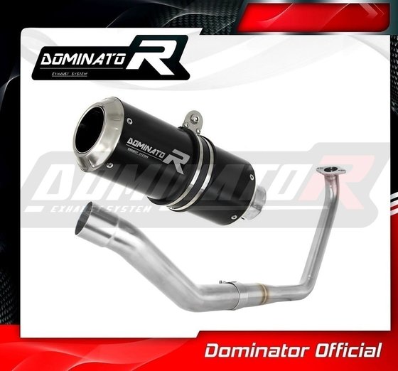 YZF R 125 (1970 - 2022) full exhaust system silencer gp black | Dominator