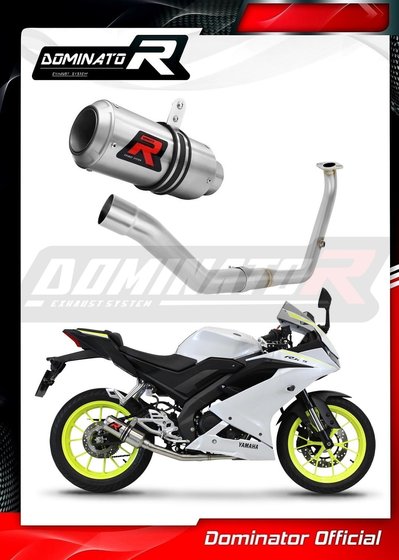 YZF R 125 (2021 - 2022) full exhaust system silencer gp | Dominator