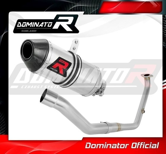 YZF R 125 (2021 - 2022) full exhaust system silencer hp3 | Dominator