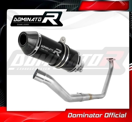 YZF R 125 (1970 - 2022) full exhaust system silencer hp3 black | Dominator