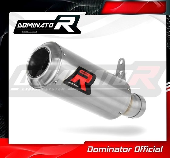 MT 10 (2016 - 2020) homologated exhaust silencer gp | Dominator