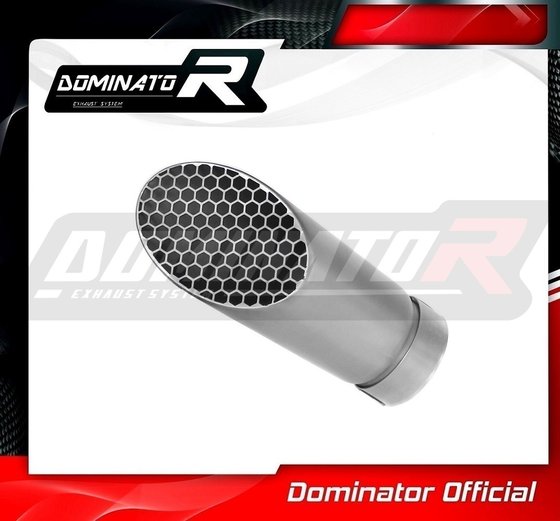 FZ 10 (2016 - 2020) exhaust megaphone gp 3 titanium | Dominator