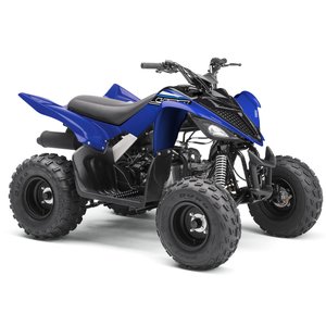 2009 - 2022 YAMAHA YFM 90 RAPTOR