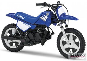 1991 - 2007 YAMAHA PW 50