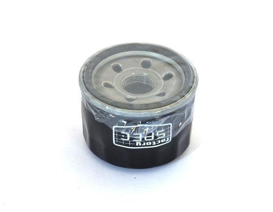 XP 500/530/560 T-MAX (2001 - 2016) oil filter | ATHENA