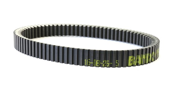 XP 500/530/560 T-MAX (2004 - 2011) platinum transmission belt | ATHENA