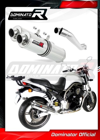 BT 1100 BULLDOG (2001 - 2007) exhaust silencer round | Dominator